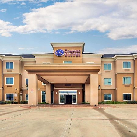 Comfort Suites Fort Worth South Kültér fotó